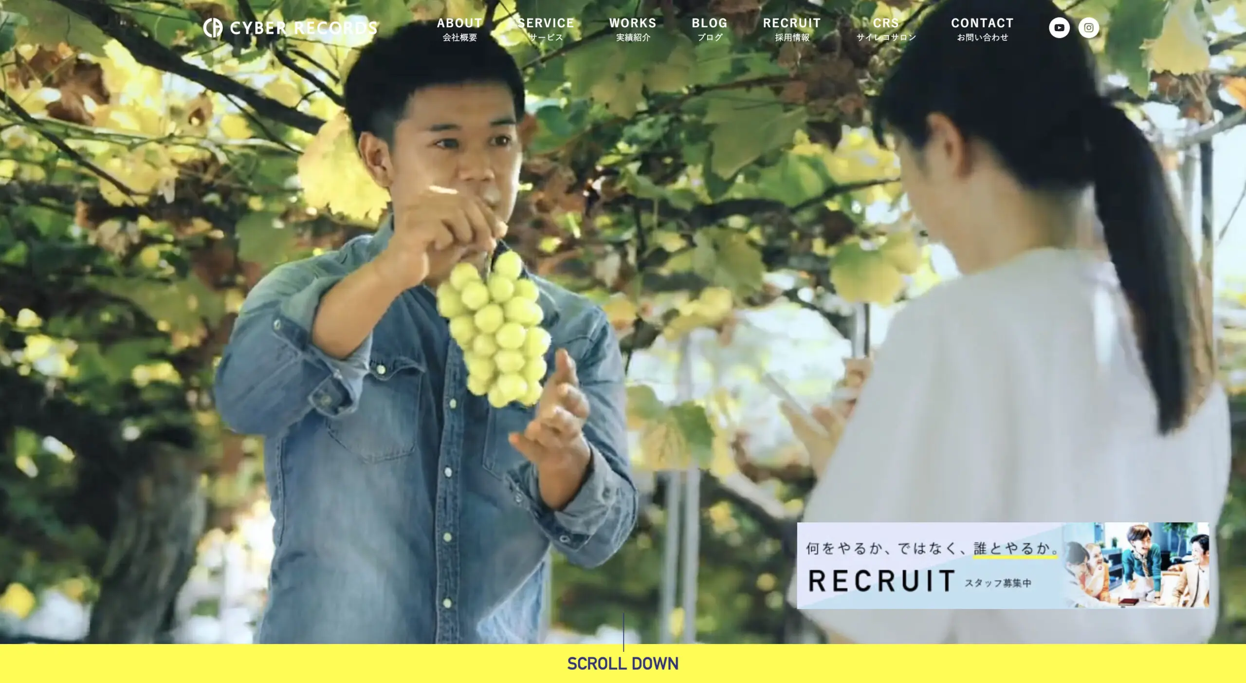 サイバーレコード